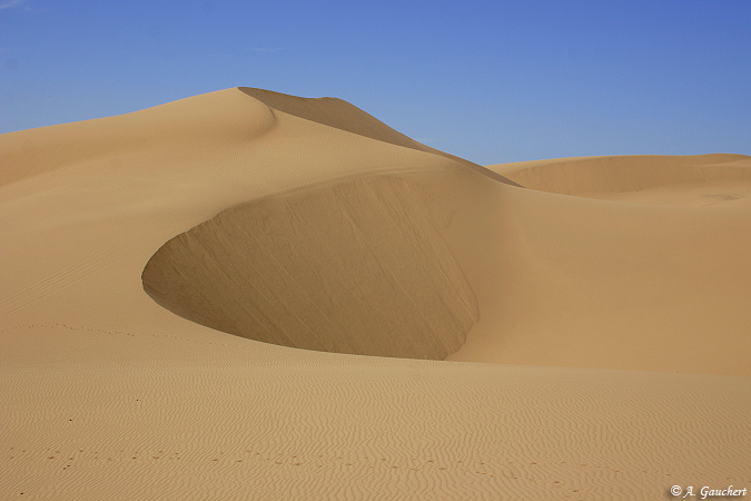 Sand In The Desert